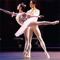 temporadas Temporadas de ópera y danza del Gran Teatre del Liceu temporadas Temporadas de ópera y danza del Gran Teatre del Liceu