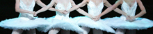 danza  El English National Ballet abre la temporada del Liceu