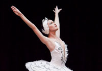 danza  Estrellas del Ballet de Cuba