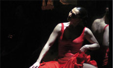 espanola El Teatro Real recuerda a Antonio Gades espanola El Teatro Real recuerda a Antonio Gades