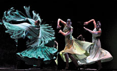 espanola  Flamenco Hoy de Carlos Saura en el Kursaal