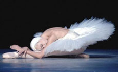 clasica danza  El lago de los cisnes en el Teatro Real