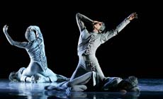 temporadas  Les Ballets de Montecarlo abren el año en los Teatros del Canal