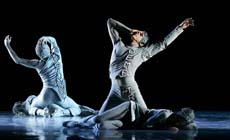 temporadas Les Ballets de Montecarlo abren el año en los Teatros del Canal temporadas Les Ballets de Montecarlo abren el año en los Teatros del Canal