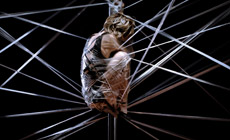 contemporanea danza  Sol Picó presenta Petra, la mujer araña y el putón de la abeja maya