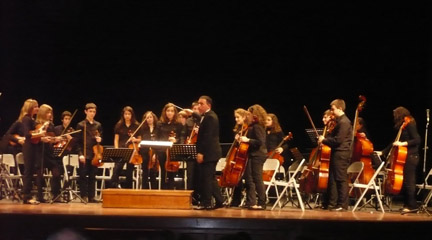 para ninos  Conoce los instrumentos de una orquesta en el Macuf