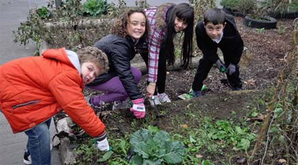 festivales  La Quincena Musical y su compromiso con el medio ambiente