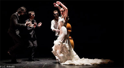 premios  XXIII Certamen de Coreografía de Danza Española y flamenco